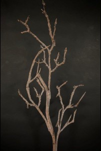 **NEW** FAUX BRANCH  [FF705173]